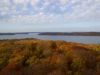 Blick vom "Adlerhorst" im Naturerbe Zentrum Rgen auf den Jasmunder Bodden